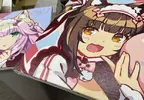 《貓娘樂園NEKOPARA》10週年紀念畫爆出中籤者擺爛爭議 繪師痛批這根本是妨害業務