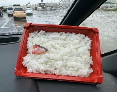 《話題美食:鹽漬鮭魚便當》只給一小片魚肉有夠摳?秋田縣民告訴你這樣絕對夠
