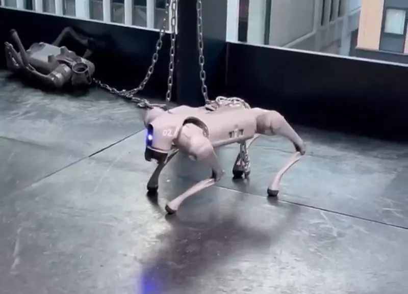 《被綁住的機器狗》日本話題前衛藝術作品 作者想要藉此表達什麼呢？