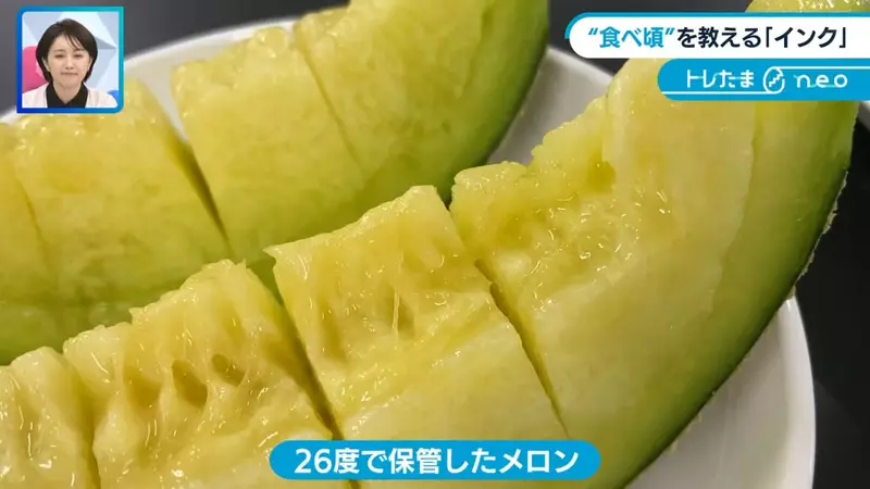 《告訴你哈密瓜熟了的顏料》看到貼紙變色就能吃 再也不用擔心切開才發現不甜了 《告訴你哈密瓜熟了的顏料》看到貼紙變色就能吃 再也不用擔心切開才發現不甜了