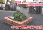 《世界最小的公園》獲金氏世界紀錄認定卻被批評浪費錢 當初為什麼要蓋這種東西呢？