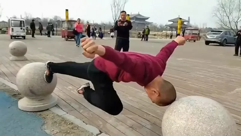 《諸神的晨練》早上公園出來的都是一堆練武的高手 《諸神的晨練》早上公園出來的都是一堆練武的高手