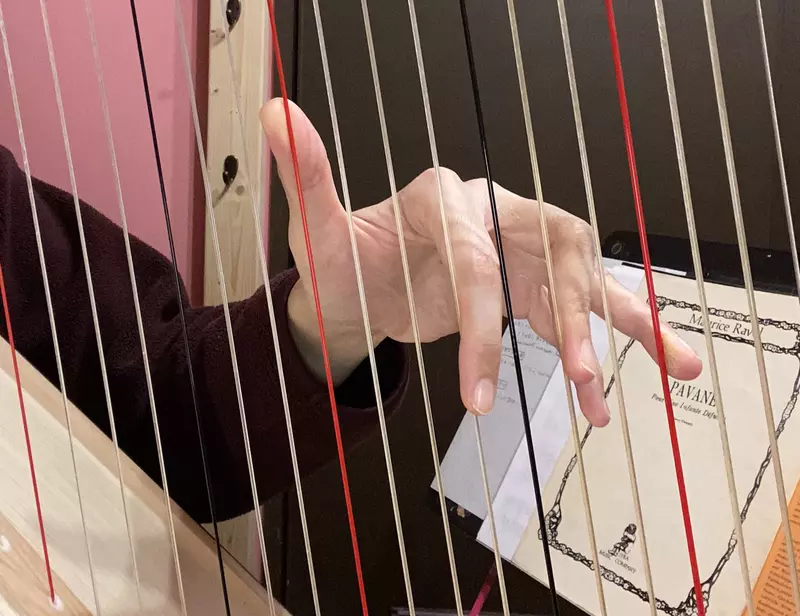 《豎琴家的日常煩惱》沒辦法使用指紋認證 其他樂器演奏者也面臨同樣的問題? 《豎琴家的日常煩惱》沒辦法使用指紋認證 其他樂器演奏者也面臨同樣的問題?