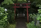 《會遭遇神隱的鳥居》日本網友分享恐怖鳥居照片 感覺一旦走過去就回不來了