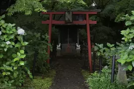 《會遭遇神隱的鳥居》日本網友分享恐怖鳥居照片 感覺一旦走過去就回不來了 《會遭遇神隱的鳥居》日本網友分享恐怖鳥居照片 感覺一旦走過去就回不來了