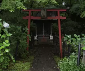 《會遭遇神隱的鳥居》日本往分享恐怖鳥居照片 感覺一旦走過去就回不來了