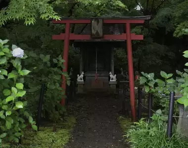 《會遭遇神隱的鳥居》日本網友分享恐怖鳥居照片 感覺一旦走過去就回不來了