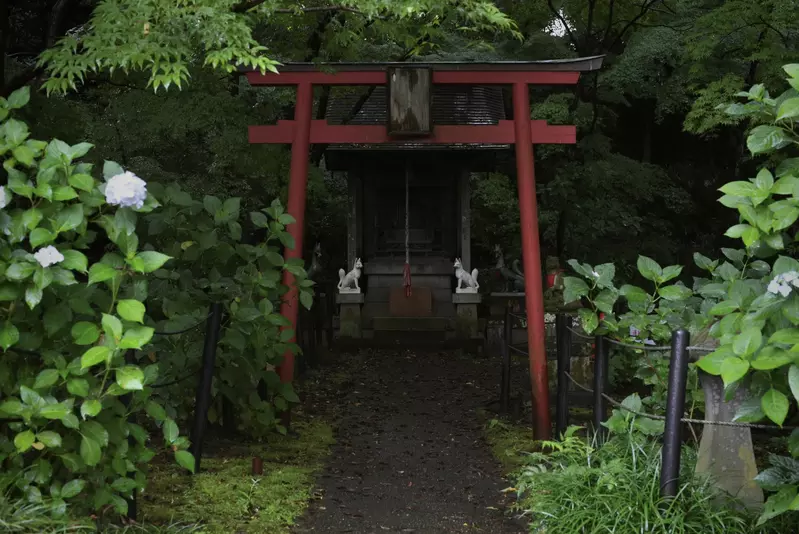 《會遭遇神隱的鳥居》日本網友分享恐怖鳥居照片 感覺一旦走過去就回不來了 《會遭遇神隱的鳥居》日本網友分享恐怖鳥居照片 感覺一旦走過去就回不來了