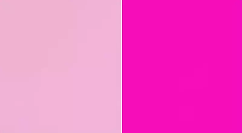 《粉紅色是哪一個顏色》幼兒園老師說是右邊 讓日本網友的小小心靈留下陰影了