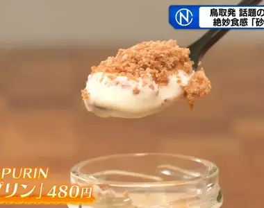 《沙子布丁》日本鳥取縣人氣在地美食 重現當地知名景點的沙丘口感