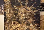 用OSB工程木材板創作的藝術家 沒什麼不可能就真的是被他想到而已