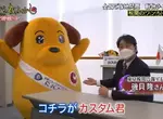 日本海關吉祥物緝毒犬問題 各地造型不統一的結果超好笑