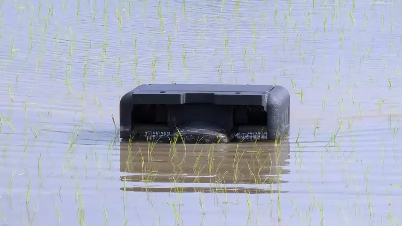 《田裡的印表機》日本稻田出現神秘物體 其實是改善農民生活的劃時代發明? 《田裡的印表機》日本稻田出現神秘物體 其實是改善農民生活的劃時代發明?