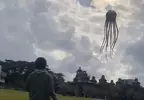 網友分享《章魚風箏》實際施放的模樣，看上去總感覺像是被外星生物襲擊一樣耶