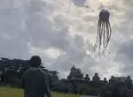 網友分享《章魚風箏》實際施放的模樣，看上去總感覺像是被外星生物襲擊一樣耶