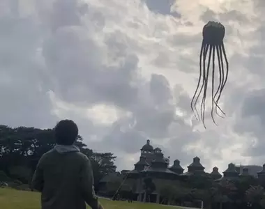網友分享《章魚風箏》實際施放的模樣,看上去總感覺像是被外星生物襲擊一樣耶