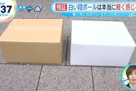 《搬家公司的紙箱》為什麼是白色而不是棕色?其實對搬家工人和業主都有好處 《搬家公司的紙箱》為什麼是白色而不是棕色?其實對搬家工人和業主都有好處