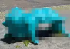 《日本詭異公園遊具》怎麼看都像是吃人的妖怪？正確的遊玩方式是什麼？