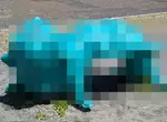 《日本詭異公園遊具》怎麼看都像是吃人的妖怪？正確的遊玩方式是什麼？
