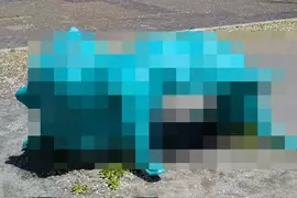 《日本詭異公園遊具》怎麼看都像是吃人的妖怪?正確的遊玩方式是什麼? 《日本詭異公園遊具》怎麼看都像是吃人的妖怪?正確的遊玩方式是什麼?