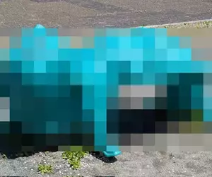 《日本詭異公園遊具》怎麼看都像是吃人的妖怪？正確的遊玩方式是什麼？