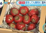 《黑化番茄》長滿黑斑的番茄卻引發老饕瘋搶 名稱來自星際大戰的安納金
