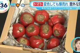《黑化番茄》長滿黑斑的番茄卻引發老饕瘋搶 名稱來自星際大戰的安納金 《黑化番茄》長滿黑斑的番茄卻引發老饕瘋搶 名稱來自星際大戰的安納金