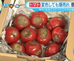 《黑化番茄》長滿黑斑的番茄卻引發老饕瘋搶 名稱來自星際大戰的安納金