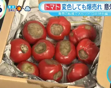 《黑化番茄》長滿黑斑的番茄卻引發老饕瘋搶 名稱來自星際大戰的安納金