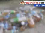 日本寶特瓶裝尿丟棄事件 原因竟然是犯人覺得上廁所太麻煩！？