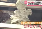 《100公尺御好燒》挑戰金氏世界紀錄 最怕翻面失誤接不起來功虧一簣