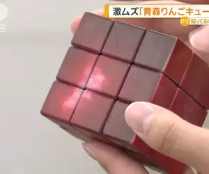 《蘋果魔術方塊》難度超高的暢銷玩具 轉得出來你就是青森蘋果王