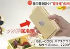 《保冷便當盒》氣候變遷衝擊日本便當文化 有了這個就不用怕放到變質了
