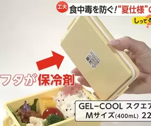 《保冷便當盒》氣候變遷衝擊日本便當文化 有了這個就不用怕放到變質了