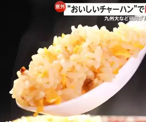 《美味炒飯讓大腦覺醒》日本九州大學研究 吃美食預防失智又提升工作效率