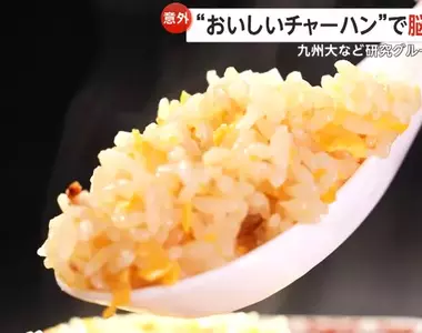 《美味炒飯讓大腦覺醒》日本九州大學研究 吃美食預防失智又提升工作效率