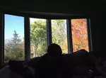 不容易看見的風景網友攝影作品集 一扇窗戶收錄四種季節這個畫面很可以喔