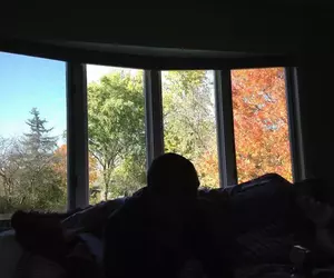 不容易看見的風景網友攝影作品集 一扇窗戶收錄四種季節這個畫面很可以喔