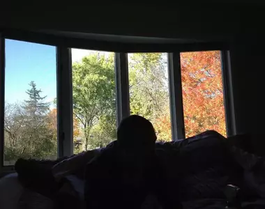不容易看見的風景網友攝影作品集 一扇窗戶收錄四種季節這個畫面很可以喔