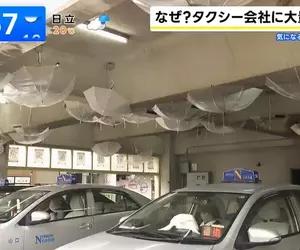 《日本話題計程車公司》車庫天花板滿是倒掛的雨傘？溫泉區梅雨季都會出現的特殊景象