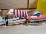 《愛磨蹭衣服的狗》每次剛洗好就要爬上去 摺得漂漂亮亮都被破壞飼主超無奈