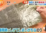 《海苔專用保存袋》日本梅雨季節實用小物 再也不怕整包受潮軟趴趴了
