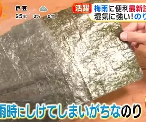 《海苔專用保存袋》日本梅雨季節實用小物 再也不怕整包受潮軟趴趴了