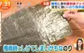 《海苔專用保存袋》日本梅雨季節實用小物 再也不怕整包受潮軟趴趴了