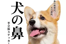 扭蛋玩具《狗鼻子半立體貼紙》可愛的模樣讓你隨時都想按壓一下 扭蛋玩具《狗鼻子半立體貼紙》可愛的模樣讓你隨時都想按壓一下