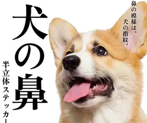 扭蛋玩具《狗鼻子半立體貼紙》可愛的模樣讓你隨時都想按壓一下