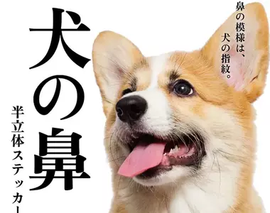 扭蛋玩具《狗鼻子半立體貼紙》可愛的模樣讓你隨時都想按壓一下