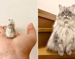 扭蛋商品《寵物貓毛收納器》可將自家毛孩的毛毛收納當成吊飾
