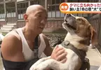《救命恩犬》日本肌肉住持遇到熊 多虧勇敢的愛犬相助才撿回一命