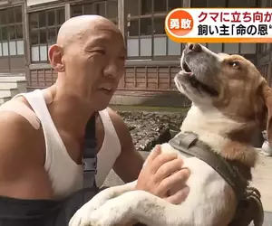 《救命恩犬》日本肌肉住持遇到熊 多虧勇敢的愛犬相助才撿回一命